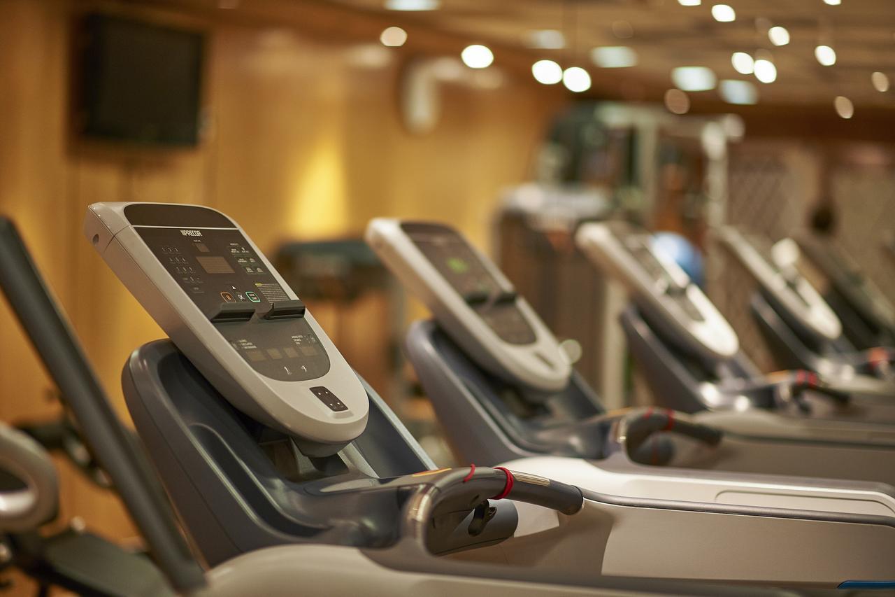 Safir Hotel Cairo Giza Exterior photo The gym at the hotel